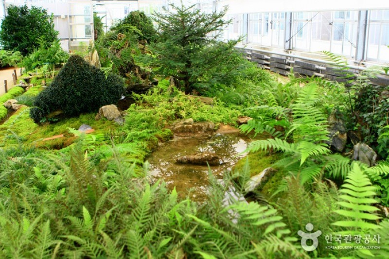 Mulhyanggi Arboretum  (22/48)