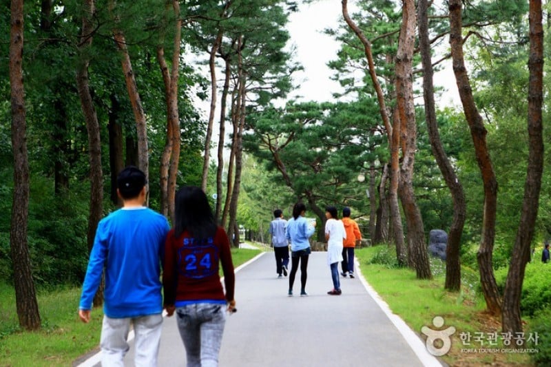 Mulhyanggi Arboretum  (25/48)