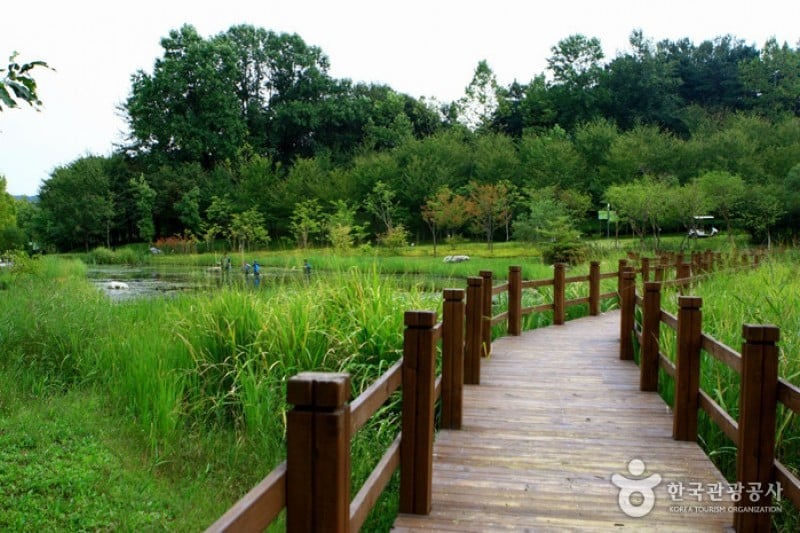 Mulhyanggi Arboretum  (29/48)