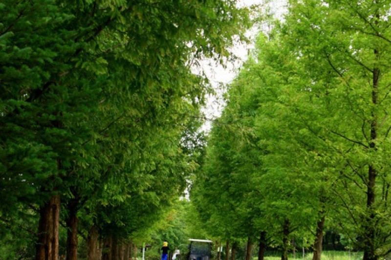 Mulhyanggi Arboretum  (30/48)