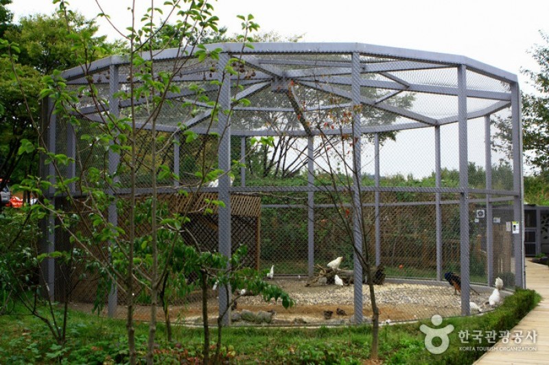 Mulhyanggi Arboretum  (32/48)