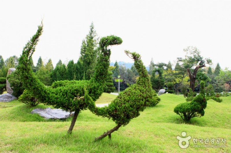 Mulhyanggi Arboretum  (39/48)
