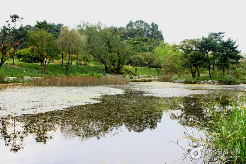 Mulhyanggi Arboretum  (41/48)