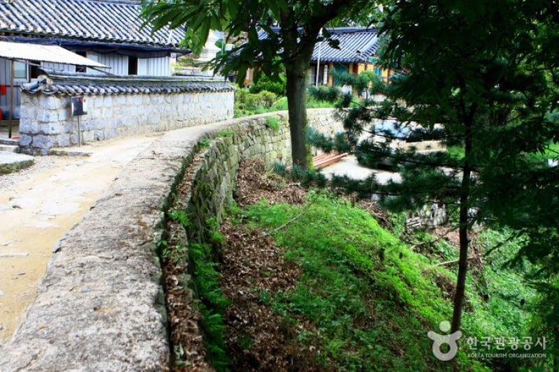 Mulhyanggi Arboretum  (44/48)