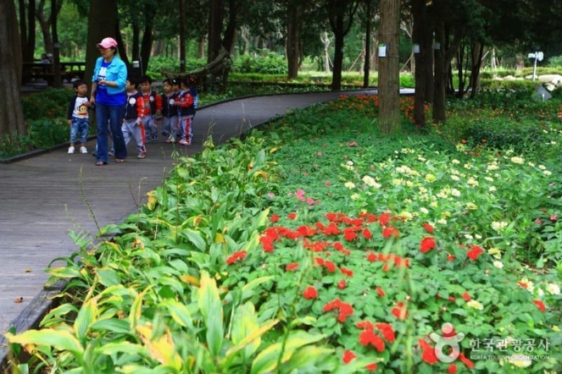 Mulhyanggi Arboretum  (47/48)