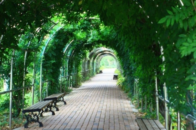 Mulhyanggi Arboretum  (48/48)