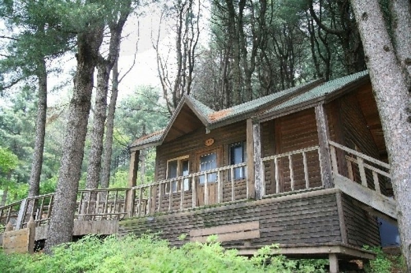 Chungnyeongsan Recreational Forest  (4/12)