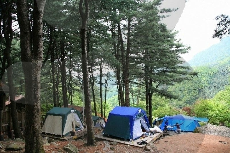 Chungnyeongsan Recreational Forest  (9/12)