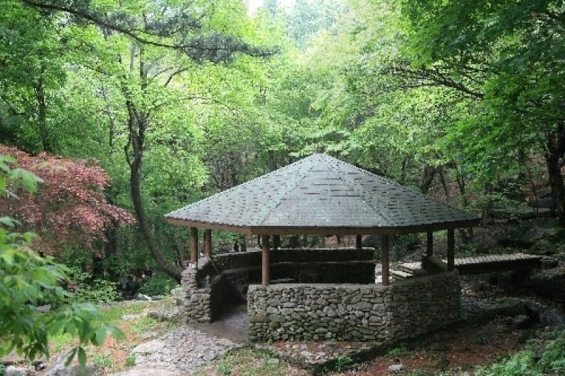 Chungnyeongsan Recreational Forest  (10/12)