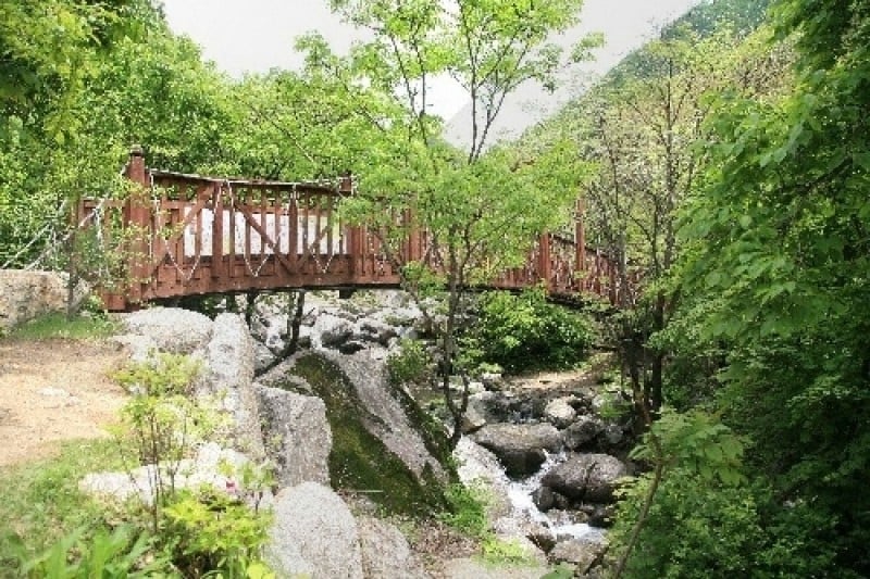 Chungnyeongsan Recreational Forest  (11/12)