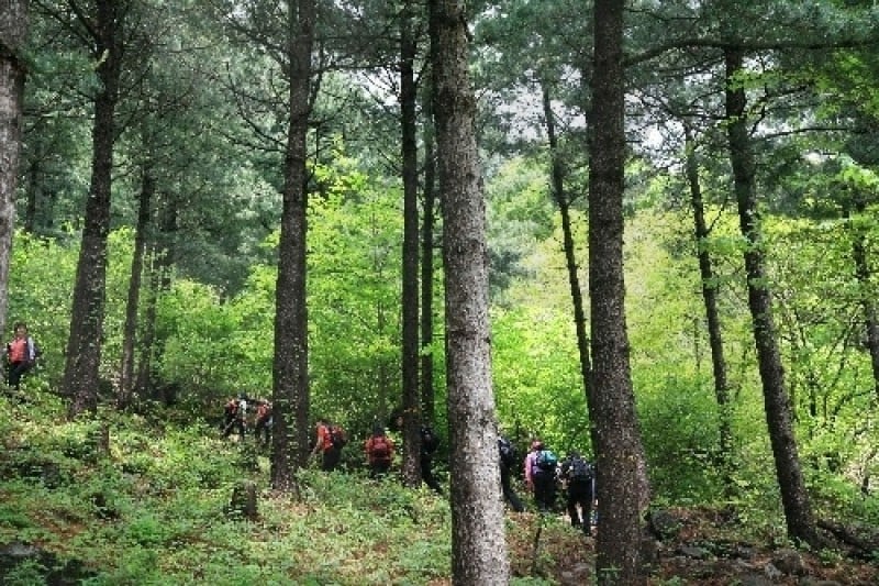 Chungnyeongsan Recreational Forest  (12/12)