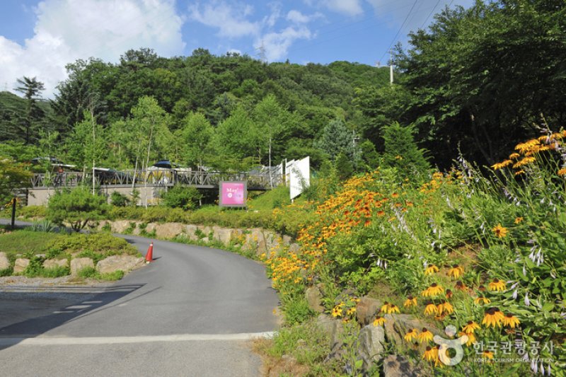 Cheongpyeong Recreational Forest  (2/27)