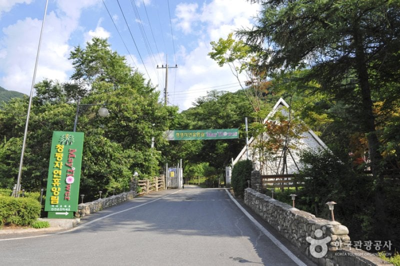 Cheongpyeong Recreational Forest  (4/27)