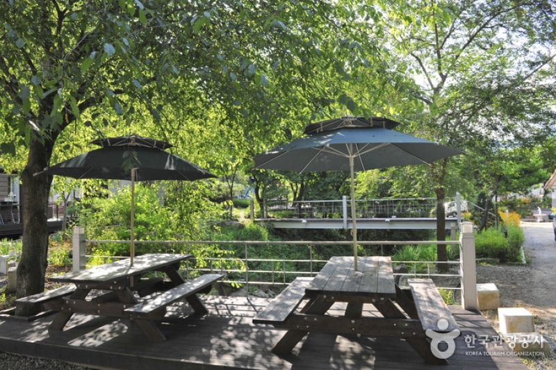 Cheongpyeong Recreational Forest  (5/27)