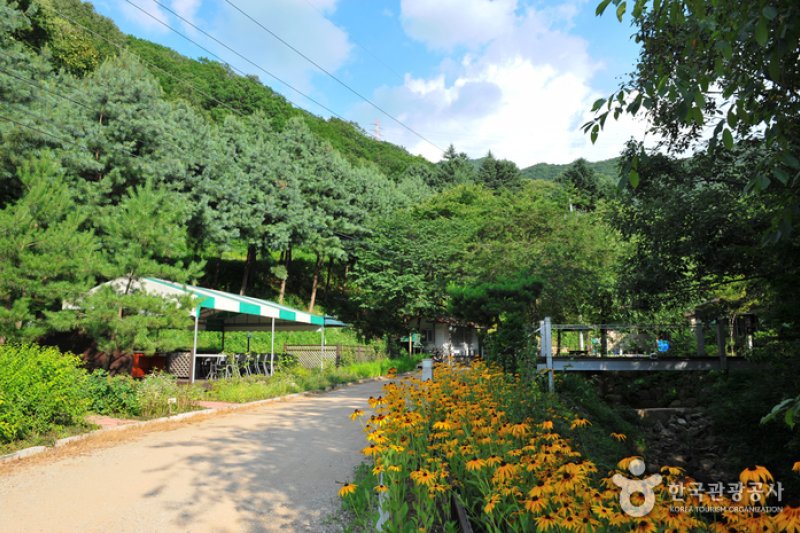 Cheongpyeong Recreational Forest  (6/27)