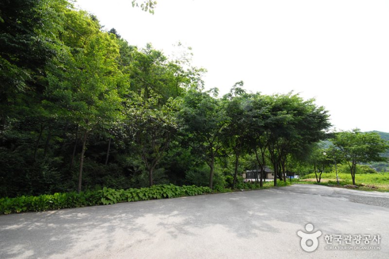 Cheongpyeong Recreational Forest  (8/27)