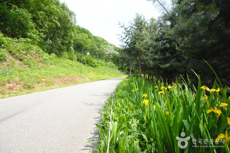 Cheongpyeong Recreational Forest  (9/27)