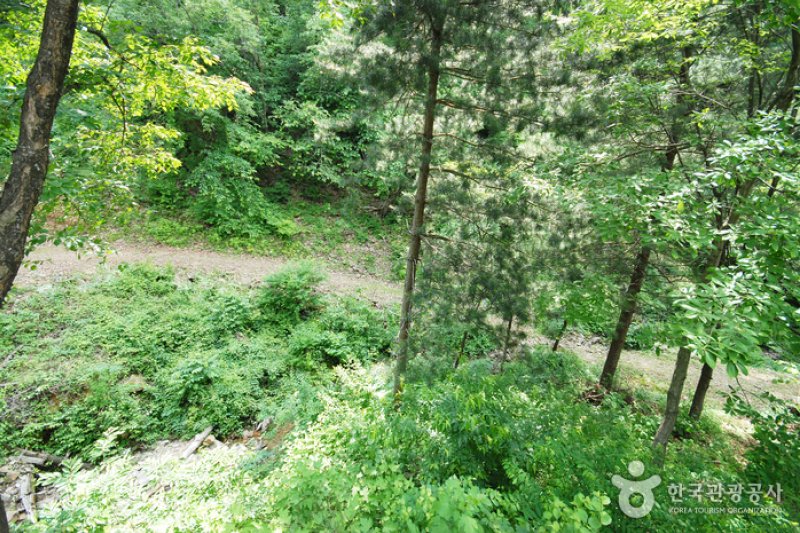 Cheongpyeong Recreational Forest  (11/27)