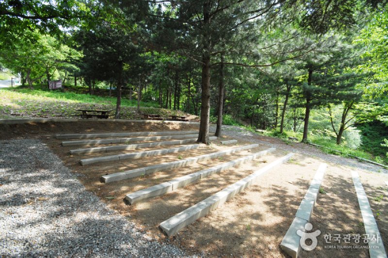 Cheongpyeong Recreational Forest  (12/27)