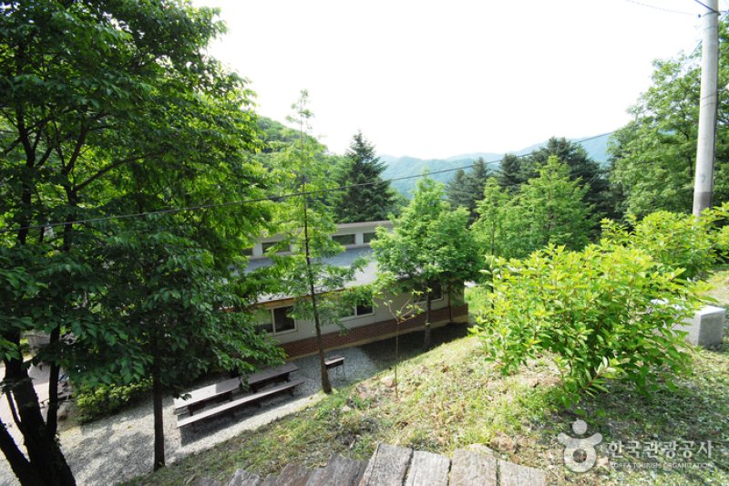 Cheongpyeong Recreational Forest  (13/27)