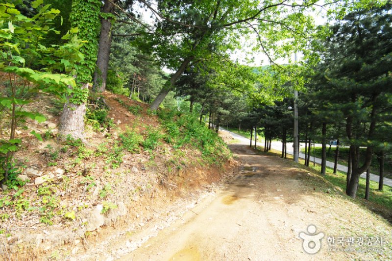 Cheongpyeong Recreational Forest  (14/27)