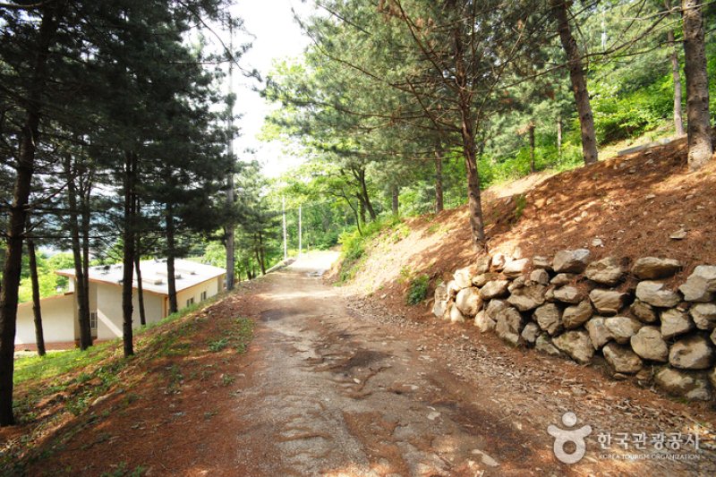 Cheongpyeong Recreational Forest  (15/27)