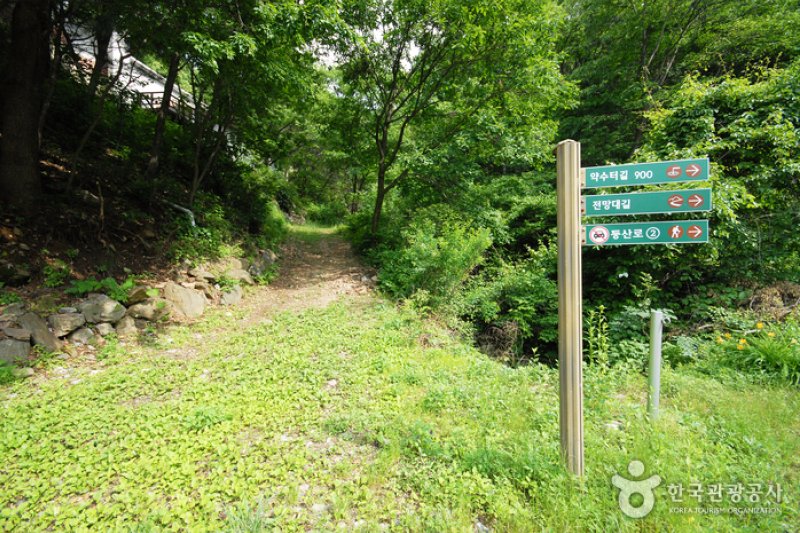 Cheongpyeong Recreational Forest  (16/27)