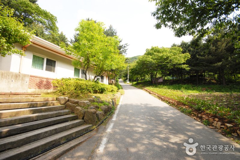Cheongpyeong Recreational Forest  (21/27)