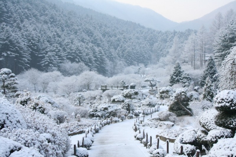 Lighting Festival at The Garden of Morning Calm  (1/18)