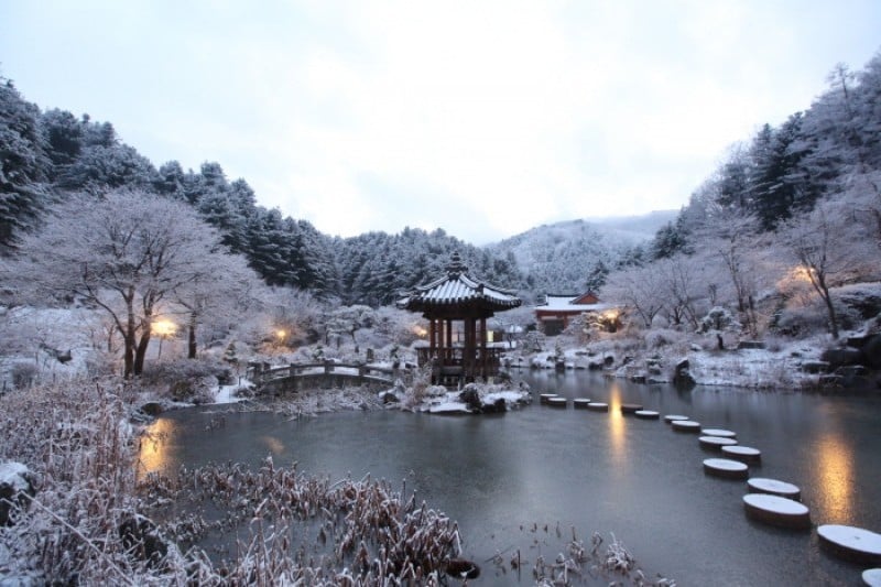 Lighting Festival at The Garden of Morning Calm  (2/18)