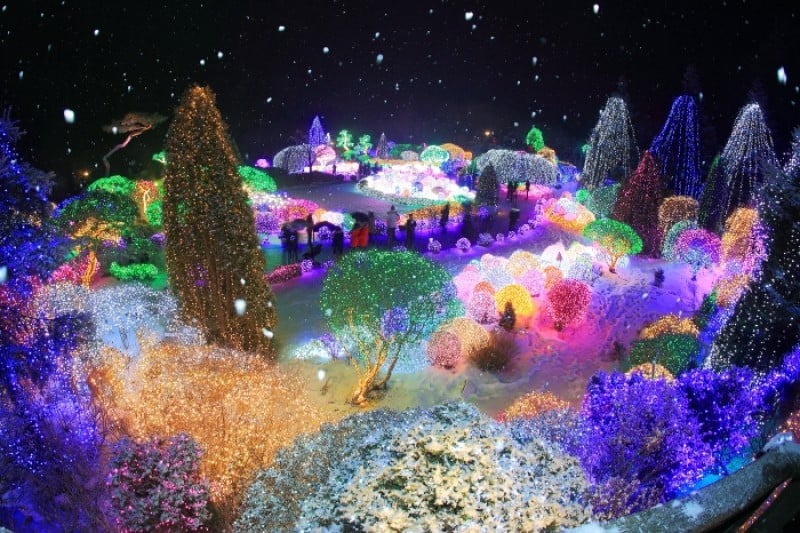 Lighting Festival at The Garden of Morning Calm  (3/18)