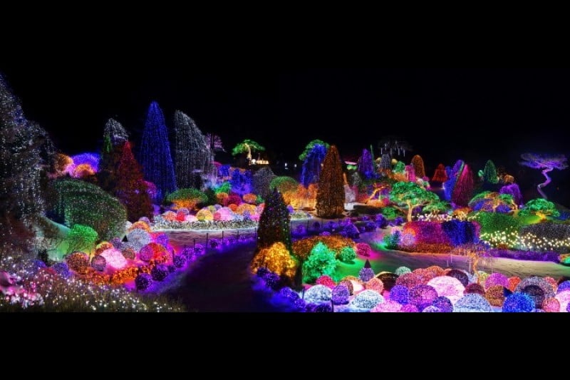 Lighting Festival at The Garden of Morning Calm  (4/18)
