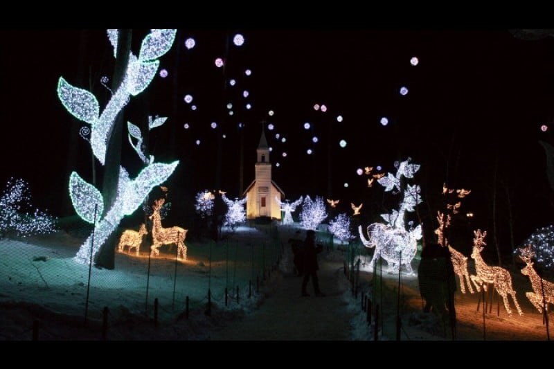 Lighting Festival at The Garden of Morning Calm  (5/18)