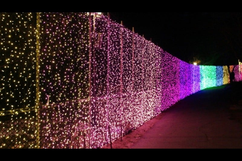 Lighting Festival at The Garden of Morning Calm  (6/18)