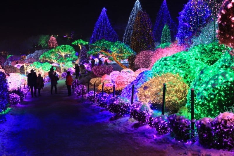 Lighting Festival at The Garden of Morning Calm  (7/18)