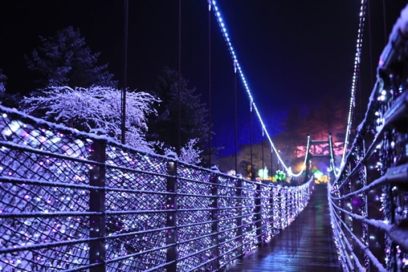 Lighting Festival at The Garden of Morning Calm  (8/18)