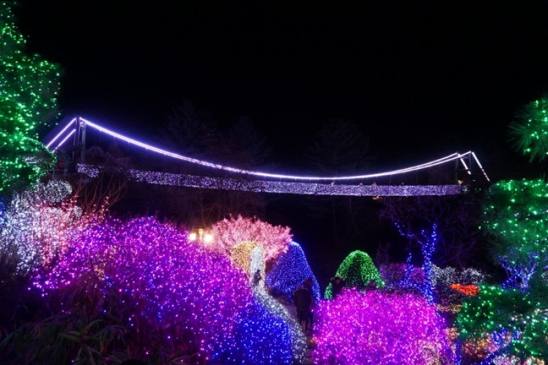 Lighting Festival at The Garden of Morning Calm  (9/18)