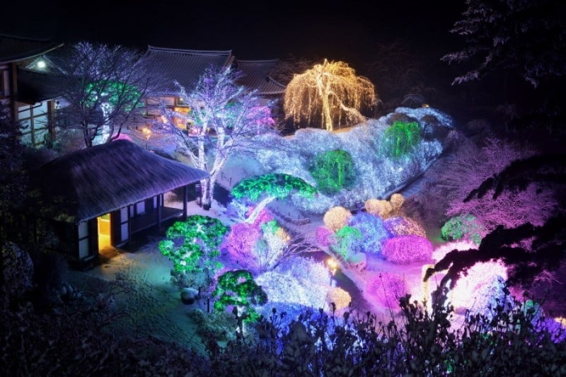 Lighting Festival at The Garden of Morning Calm  (10/18)