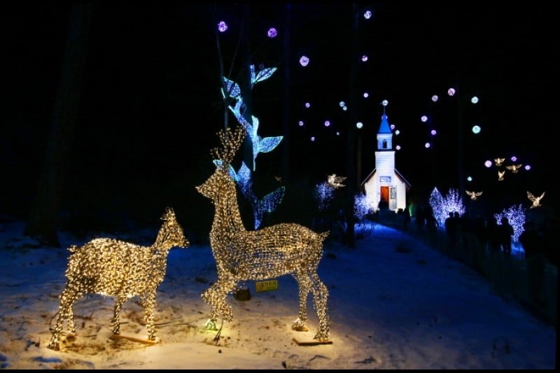 Lighting Festival at The Garden of Morning Calm  (12/18)