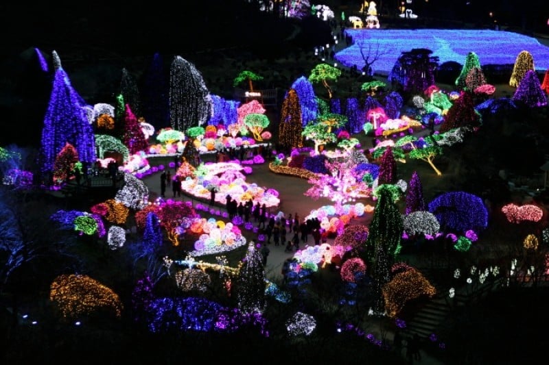 Lighting Festival at The Garden of Morning Calm  (13/18)