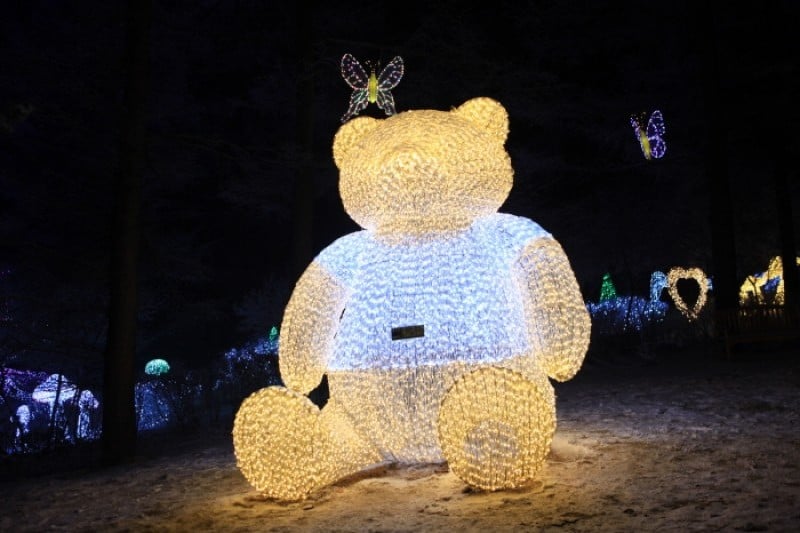 Lighting Festival at The Garden of Morning Calm  (14/18)