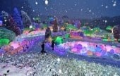 Lighting Festival at The Garden of Morning Calm 