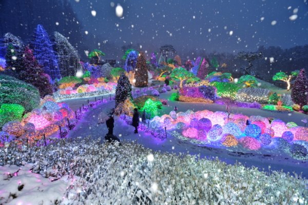 Lighting Festival at The Garden of Morning Calm