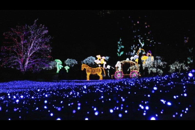 Lighting Festival at The Garden of Morning Calm  (16/18)