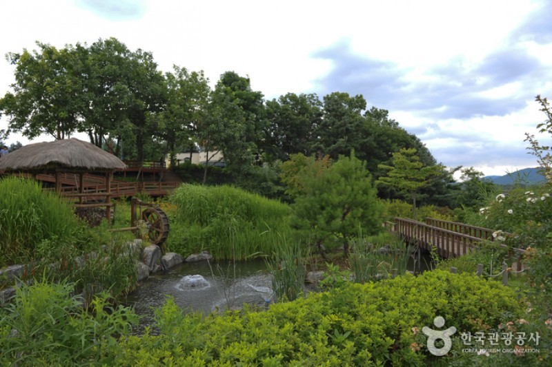 Yongin Agricultural Theme Park  (1/13)