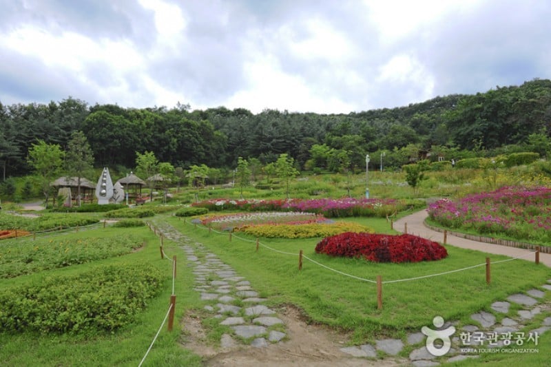 Yongin Agricultural Theme Park  (2/13)