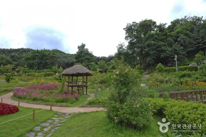 Yongin Agricultural Theme Park  (3/13)