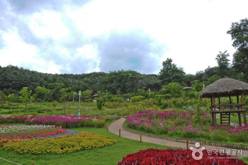 Yongin Agricultural Theme Park  (4/13)