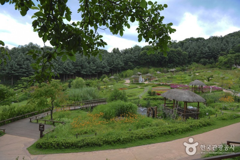 Yongin Agricultural Theme Park  (5/13)