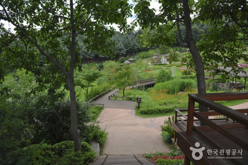 Yongin Agricultural Theme Park  (6/13)